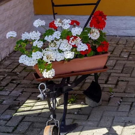 Gasthof Radics Panzio Etterem Es Piheno Koezpont Letenye